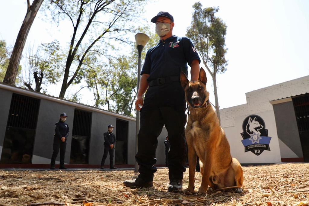 Combate Naucalpan  seguridad con Unidad Canina y caballerizas