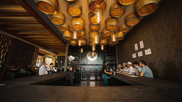 Vinícola “Tres Raíces” abre sus puertas a los amantes del vino durante Semana Santa