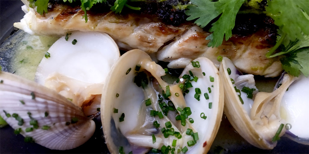 Abre Casa Kun, donde la comida de mar te recuerda el sabor de la vida