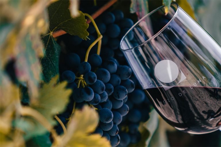 Celebra a mamá con Pozo de Luna, el multipremiado vino de SLP