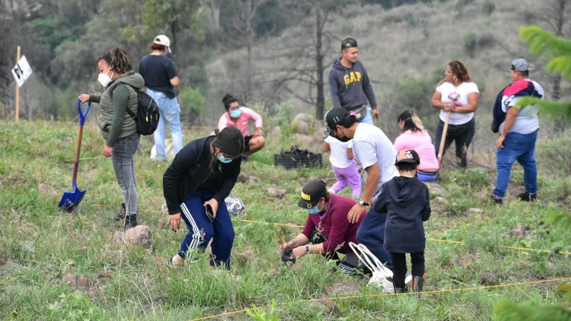 Realizan jornada de reforestación en Sierra de Guadalupe