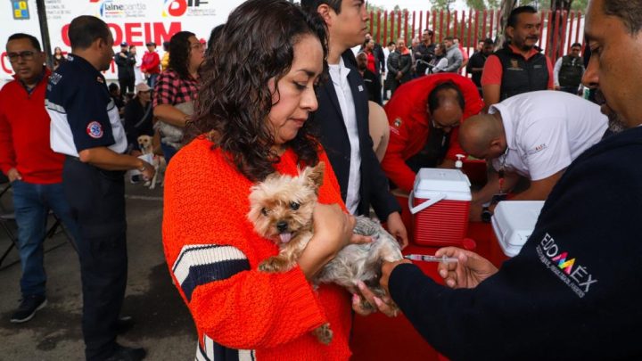 Lanzan en Tlalnepantla jornada de vacunación antirrábica canina y felina