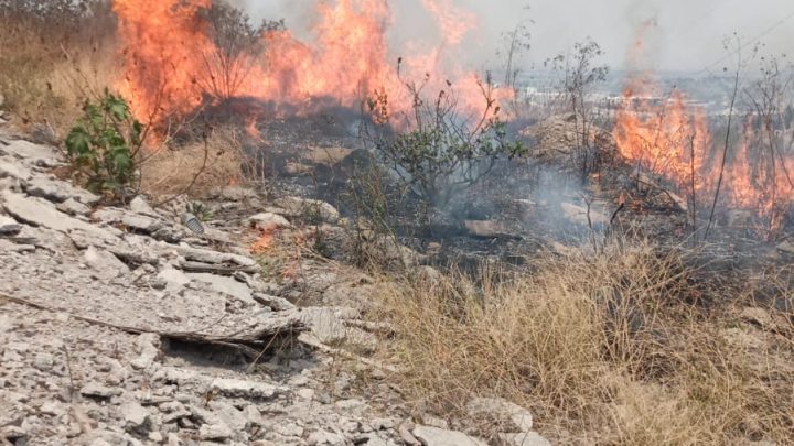 Sofocan Bomberos de Tlalnepantla 2 incendios en pastizales