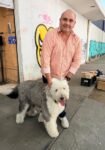 Collar de geolocalización para mascotas, pide el panista Miguel Errasti