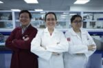 Crean investigadoras del IPN parches personalizados para cicatrizar heridas de difícil tratamiento 