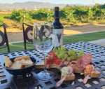 De la uva a la copa: el oficio detrás de un vino en Bodegas F. Rubio, en el Valle de Guadalupe