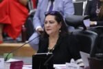 Aprueba INE realizar el Conteo Rápido de diputaciones federales del PEF 2026-2027