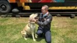 Participará el centro de transferencia canina del Metro en PetFest 2026 durante dos jornadas de adopción y convivencia