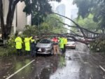 Brigada Tormenta de Cuauhtémoc atiende caída de ramas y un árbol en colonias Morelos, Doctores y Juárez