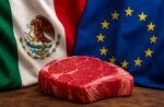 Europa es una oportunidad de valor, no de volumen: ANETIF