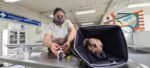 En el marco del Día Mundial del Perro, el Sistema de Transporte Colectivo  hace un llamado a la adopción de los animales de compañía