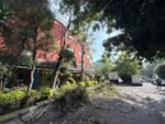 Ante pronóstico de lluvias, Cuauhtémoc realiza 204 podas preventivas en una semana