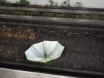 Metro pide a usuarios sujetar con firmeza paraguas, bastones y muletas para evitar su caída a las vías
