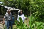 «Sin maíz no hay país»: Esthela Damián urge a revisar subsidios al campo guerrerense tras constatar pérdidas por sequía y defender el maíz nativo